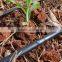 Best Quality Agricultual Water Saving System Inlaid Round Emitter Water Irrigation Drip Irrigation Pipe