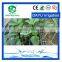 Search products water-saving drip tape buy direct from China manufacturer
