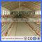 Guangzhou Factory chicken cage for layer poultry farm for sale 96 birds capacity chicken layer cage