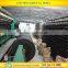 Export Black Green Color Sun Shade Net price