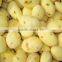 muiltifuction potato peeling machine