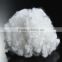 Three dimensional crimp recycled Polyester Staple Fiber 2.5D*51mm non siliconized