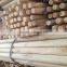 grass broom handle tip raw material cleaning mops best selling in Serbia