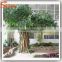 Artificial architectural model tree of ficus tree / artificial big trees artificial plants of leaves