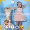 Girls tutu dress tulle girl birthday dress Wholesale in stock