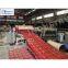 Metal Roof Tile Roll Forming Machine