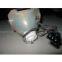 Sanyo POA-LMP116 Projector Lamp