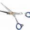 Professional Styling Razor Scissor