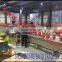SAITU company fire extinguisher automatic screen printing machine