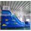 double lanes water slides/ocean theme inflatable water slide for sale