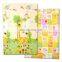 Eco-friendly Eva Tatami Baby Play Mat