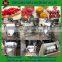 Single Channel mango pulp /beater machine price/ fruit peeling pitting pulping machine