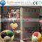 large stock and professional hard ice cream maker