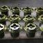 Apply to Metso Nordberg HP100 Multi-Cylinder Cone Crusher Spare Parts Locking Bolt