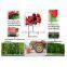Small Rotary Farm Equipment Cultivator Tiller for sale