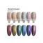 Queen Shining New Mermaid Cat Eye Nail Gel Polish Hot Sale In China