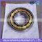China Gold Supplier Eccentric Cylindrical Roller Bearings RN205 RN206 RN307 RN309