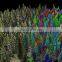 3D LIDAR and Mapping System