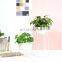 Balcony Self Watered Black Succulent Holder Flower Nordic Indoor Metal Luxury Plant Pot Stand