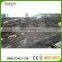 high quality Titanium MC Granite, black granite with white vein