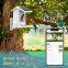 2023 Outdoor Solar panel charging Smart Birds Feeders with Camera WiFi APP Install Notification Bird House