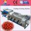 6 Levels Size Sorting Machine/Process Fruits And Grading Machine Price Quality Choice
