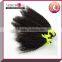 Arison Hair 100% remy hair malaysian kinky straight hair weave