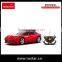 RASTAR High Speed 1:14 Scale rc Car Battery