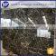 gold coral marble business building black floor tiles,stair slate