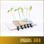 2016 Fashion Green Head plants Grass Bean Sprout Flower hairpin