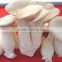 High Quality Fungusabalone Mushroom China