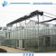 Venlo Multi-Span flower Glass Greenhouse