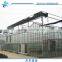 Venlo Glass span Greenhouse for Hydroponic Growing System