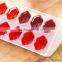 NEW Novelty Fruit Ice Juice Cube Tray Chocolate Jelly Silicone Mould Party