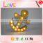 Fancy christmas letter light