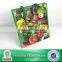 Lead-free RPET Recycled Bottle Material Gift Shopping Bag