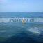 1.5m Fisheries Buoy