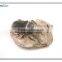 3d effect magnet texas school museum wall art insect fossil decor