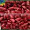 new Crop Dark Red Kidney Beans