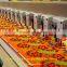 chenille mixed embroidery machine from lejia