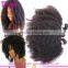 100% Virgin Brazilian Afro Kinky Hair Extensions Grade 7a Brazilian Afro Human Hair