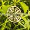 Hotselling European Style Stainless Steel 50mm New Patern Pendant