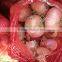 Red Onion Yellow Onion 7-9cm Wholesales Price