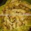 Supply/Export Organic Fresh Ginger