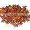 VIETNAM STAR ANISE HIGH QUALITY - GOOD PRICE (SKYPE: VISIMEX09)