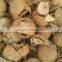 coconut shell