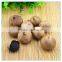 Japanese Black Garlic Seed Ferment