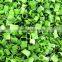 FD freeze dried vegetables