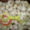 Chinese Normal White Garlic pack in 11kg/mesh bag loosely