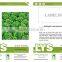 LT07 Duoke high yield green lettuce seeds, quality leaf vegetable seeds